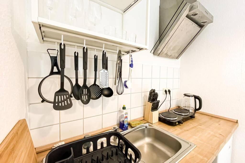 Apartment Am Auensee Mit Grosser Terrasse & Privat-Parkplatz ไลป์ซิก ภายนอก รูปภาพ