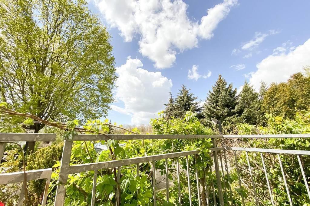 Apartment Am Auensee Mit Grosser Terrasse & Privat-Parkplatz ไลป์ซิก ภายนอก รูปภาพ